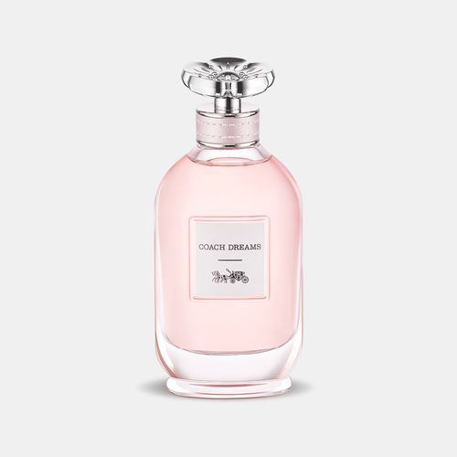 Perfume Coach Open Road - Eau de Toilette - Masculino - 100 ml