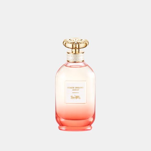 Perfume Coach Open Road - Eau de Toilette - Masculino - 100 ml
