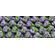ch741_b4vi1_swatch