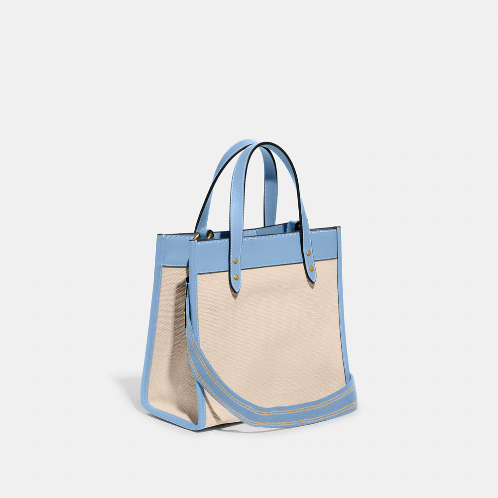 BRIEFING（ブリーフィング）の「CART TOTE TALL DL（トート