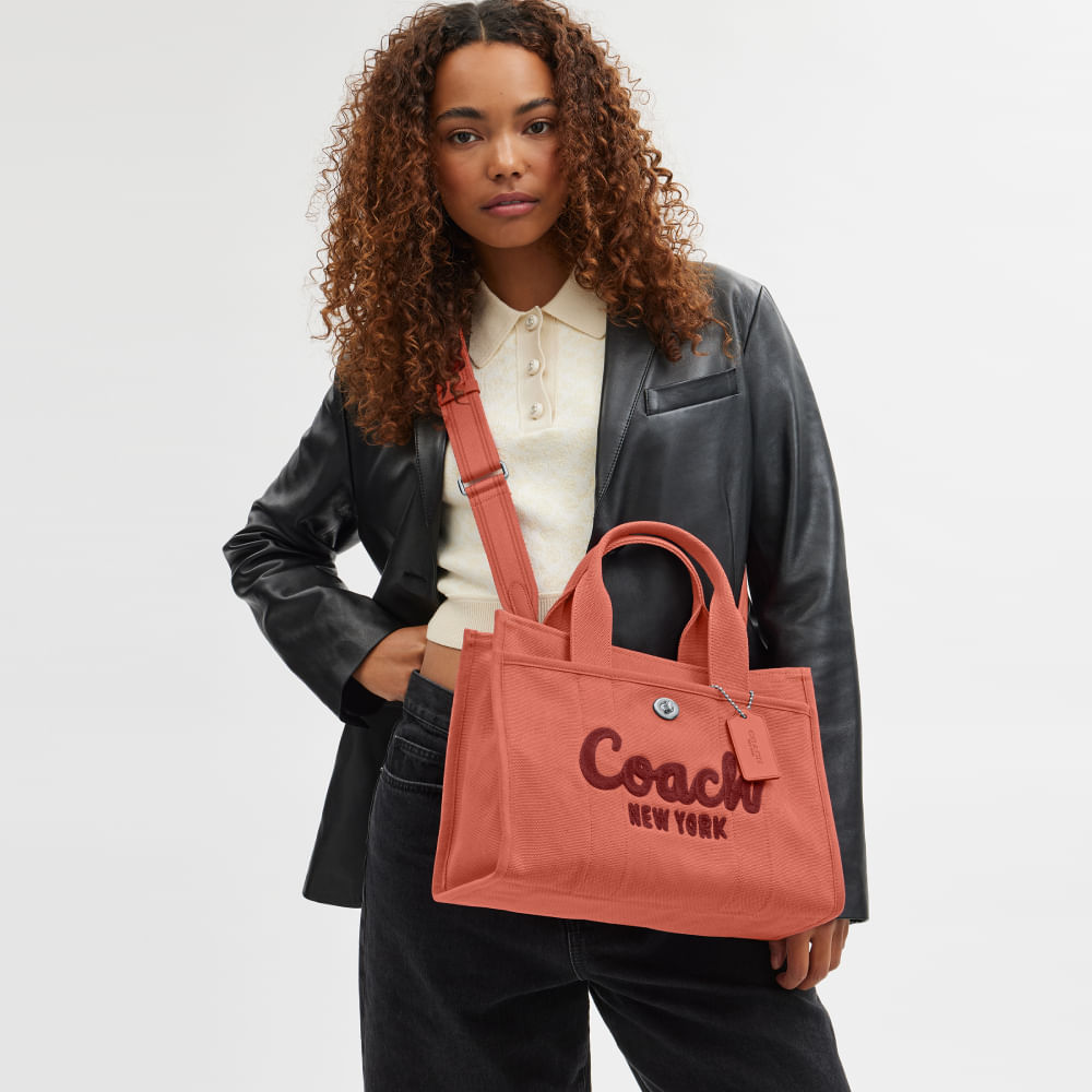 Offers Coach Tote