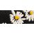 cs017_b4m2_swatch